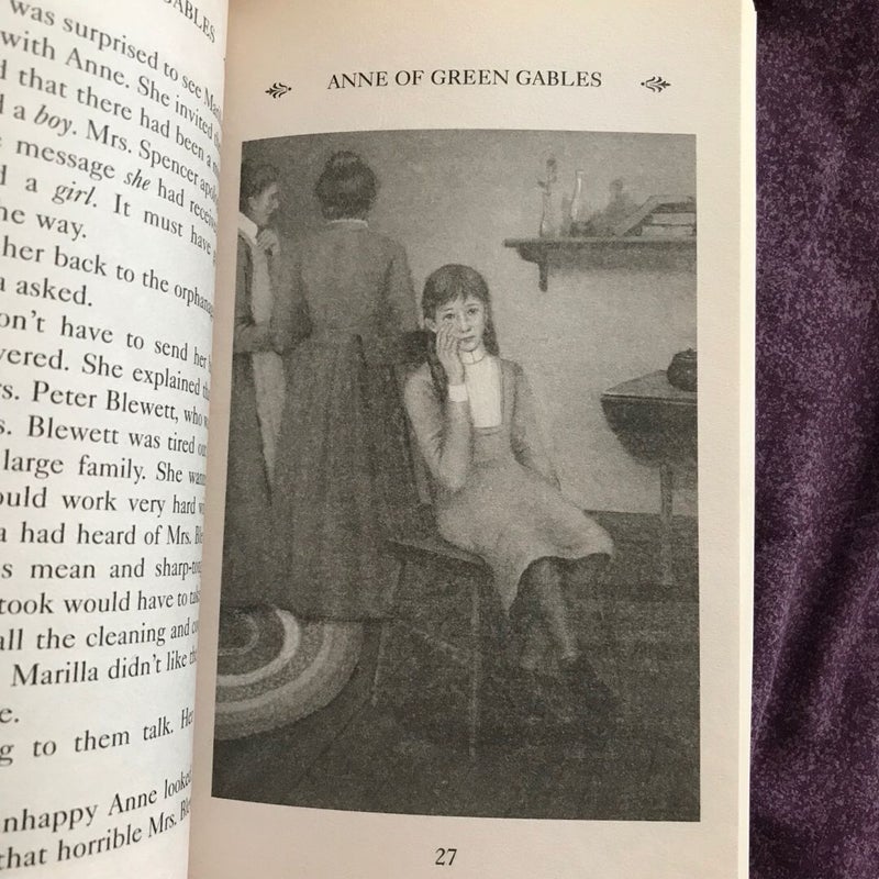 Junior Classics for Young Readers 5-Book Collection (Anne of Green Gables, The Secret Garden, Treasure Island, Little Women, & A Little Princess)