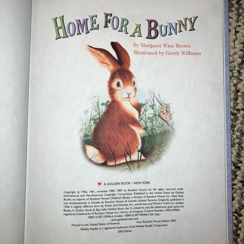 “A Big Little Golden Book”:  Home for a Bunny