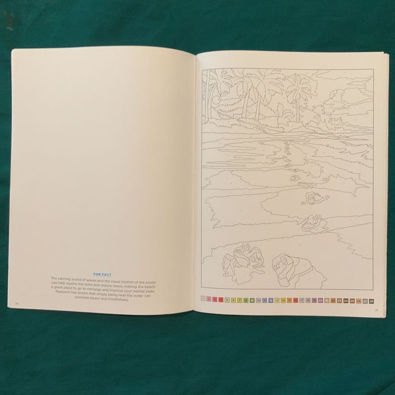 Relax and Color Meditation