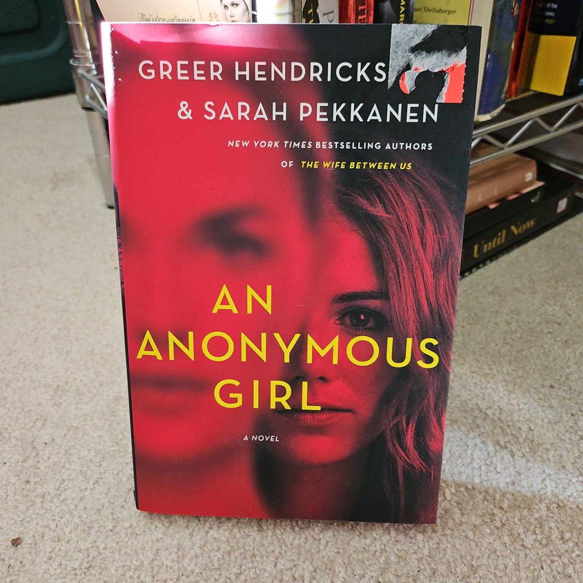 An Anonymous Girl by Greer Hendricks, Sarah Pekkanen