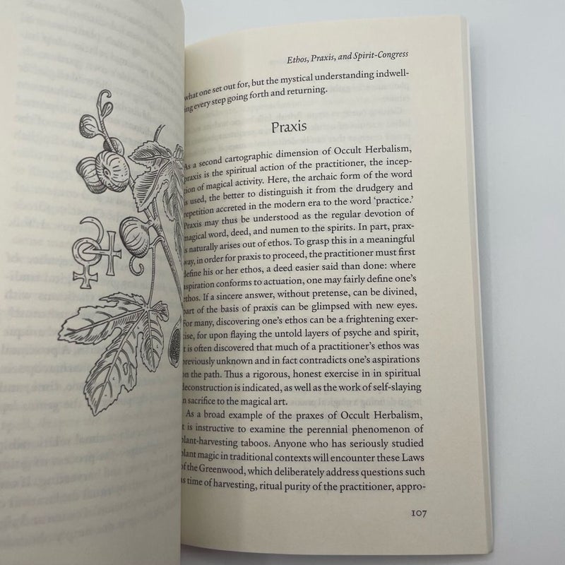 Thirteen Pathways of Occult Herbalism