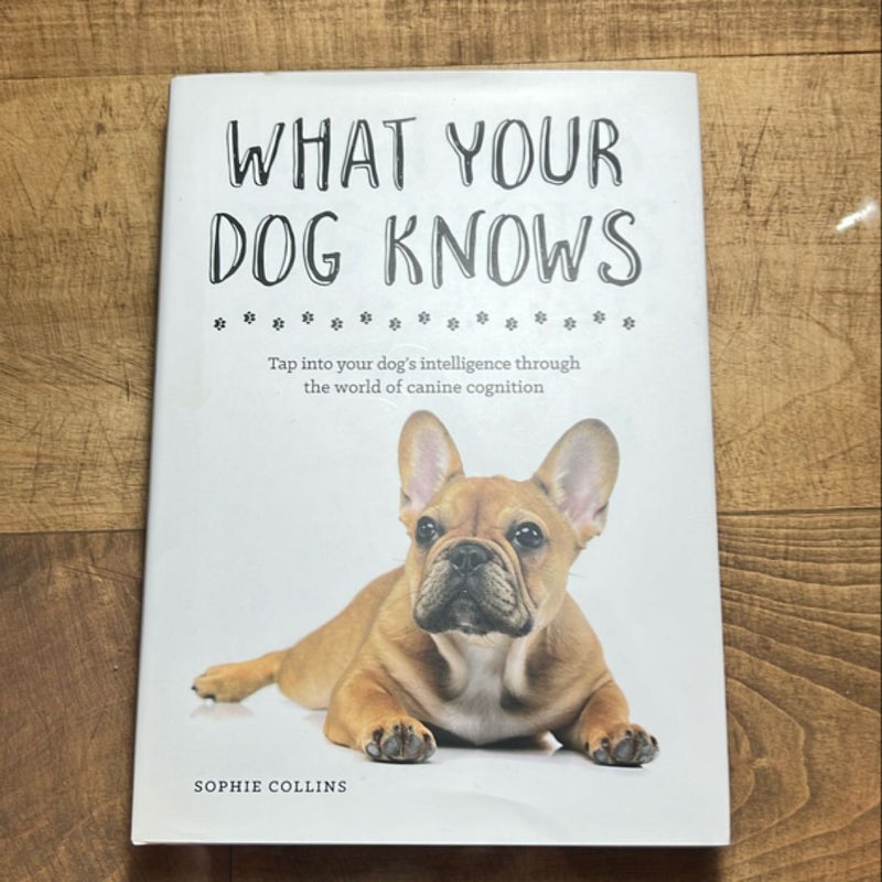 What Your Dog Knows