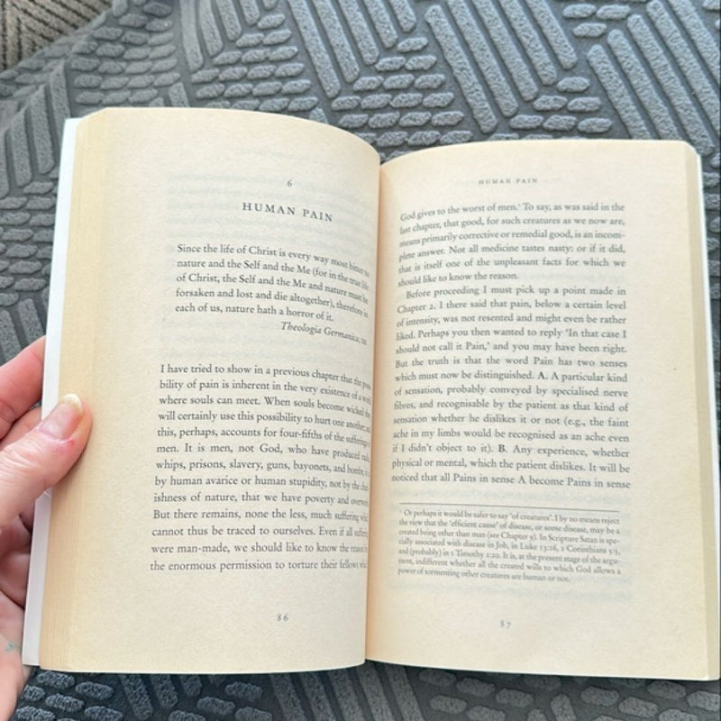 The Problem of Pain