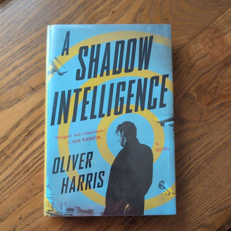 A Shadow Intelligence