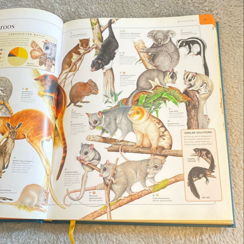 National Geographic Encyclopedia of Animals 