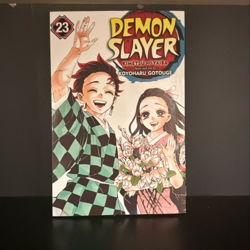 Demon Slayer: Kimetsu No Yaiba, Vol. 23