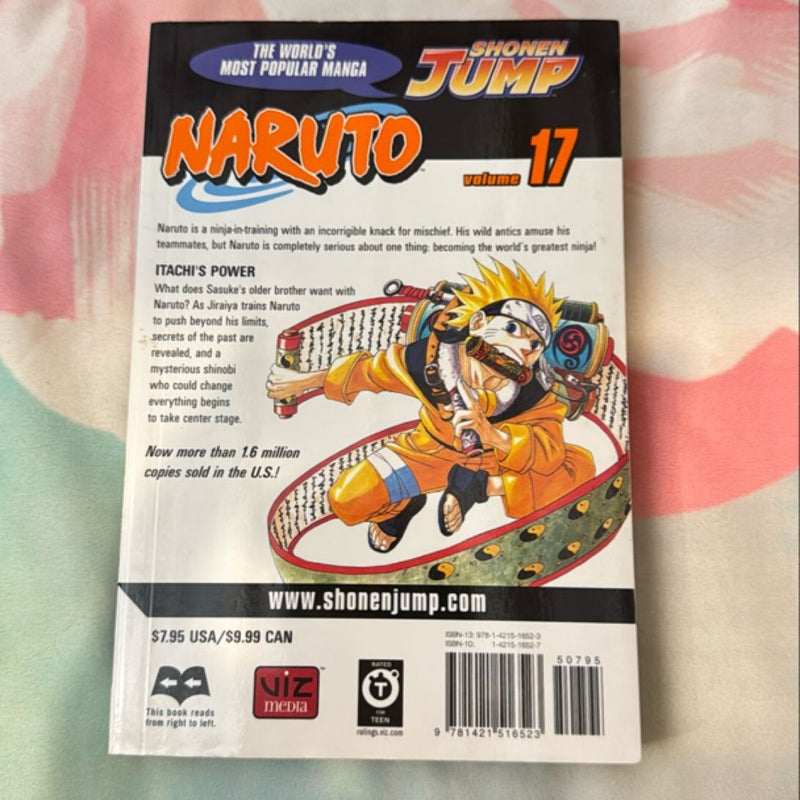 Naruto, Vol. 17