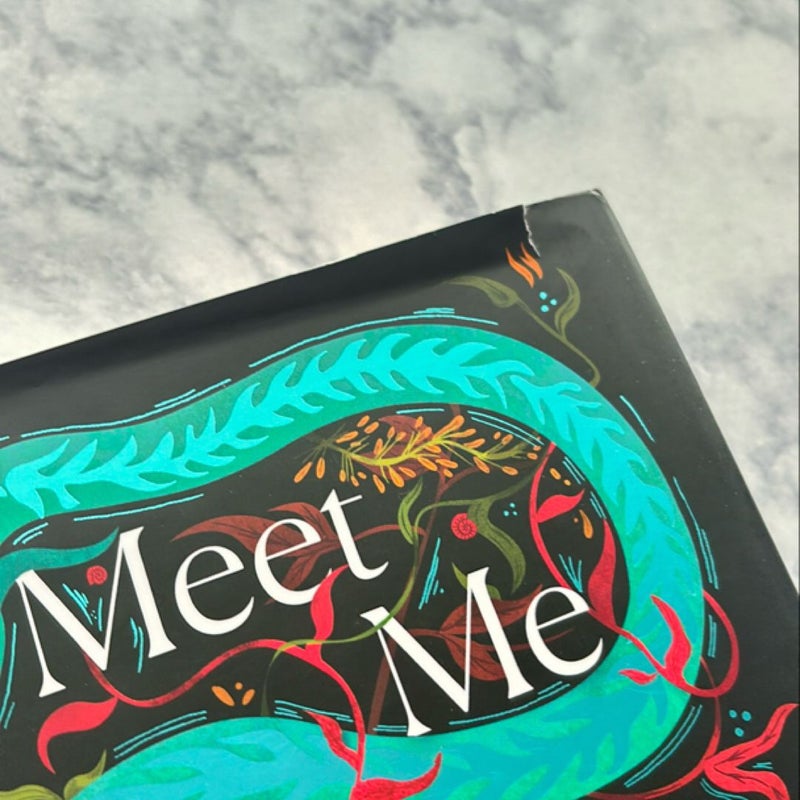 Meet Me At The Surface (UK Release) 