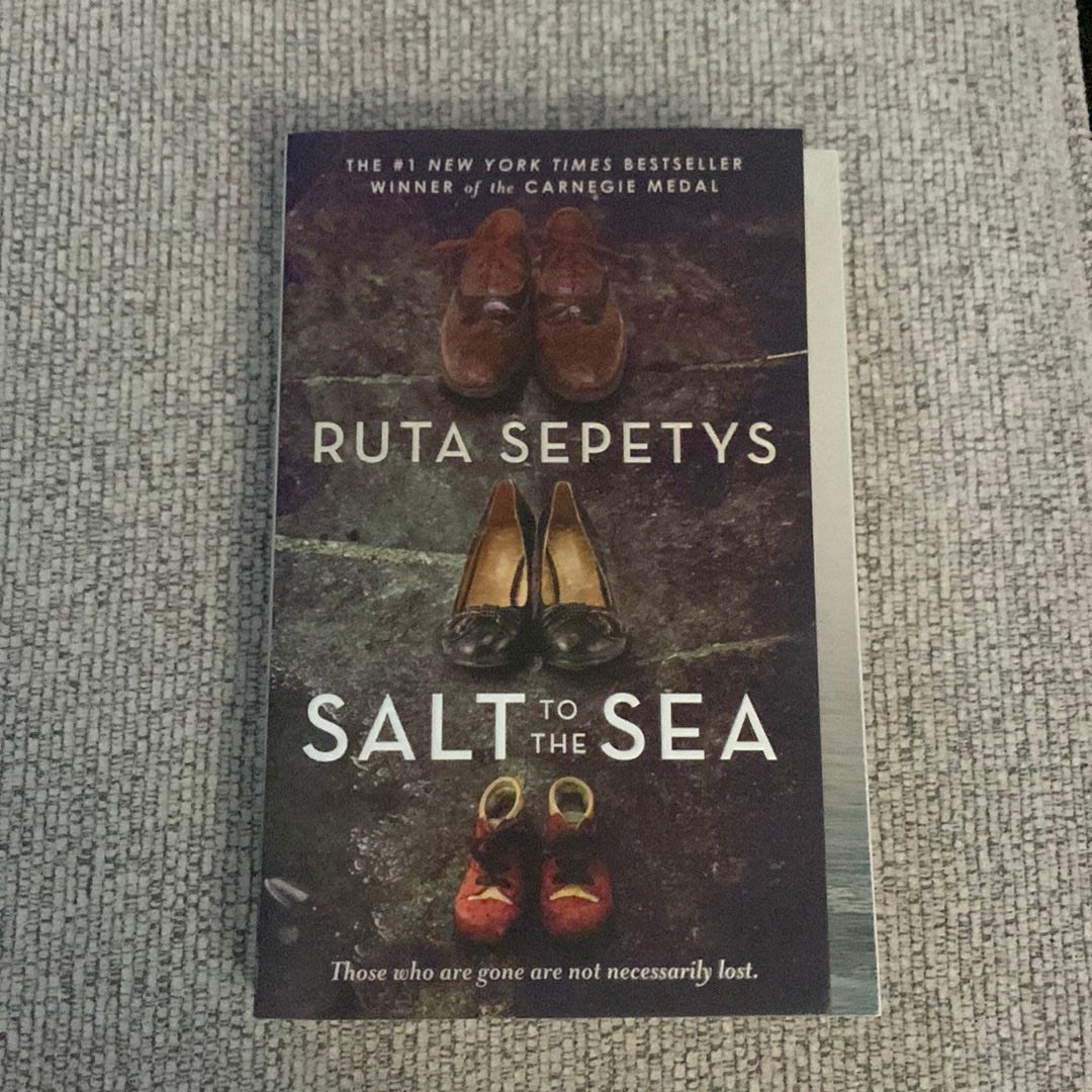 Salt to the Sea