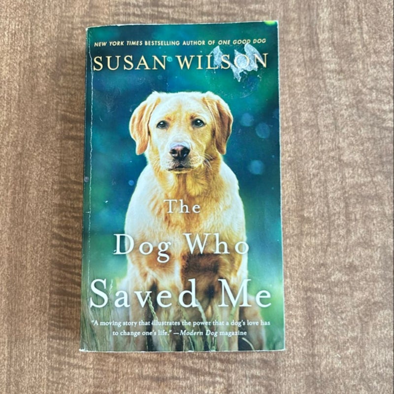 The Dog Who Saved Me