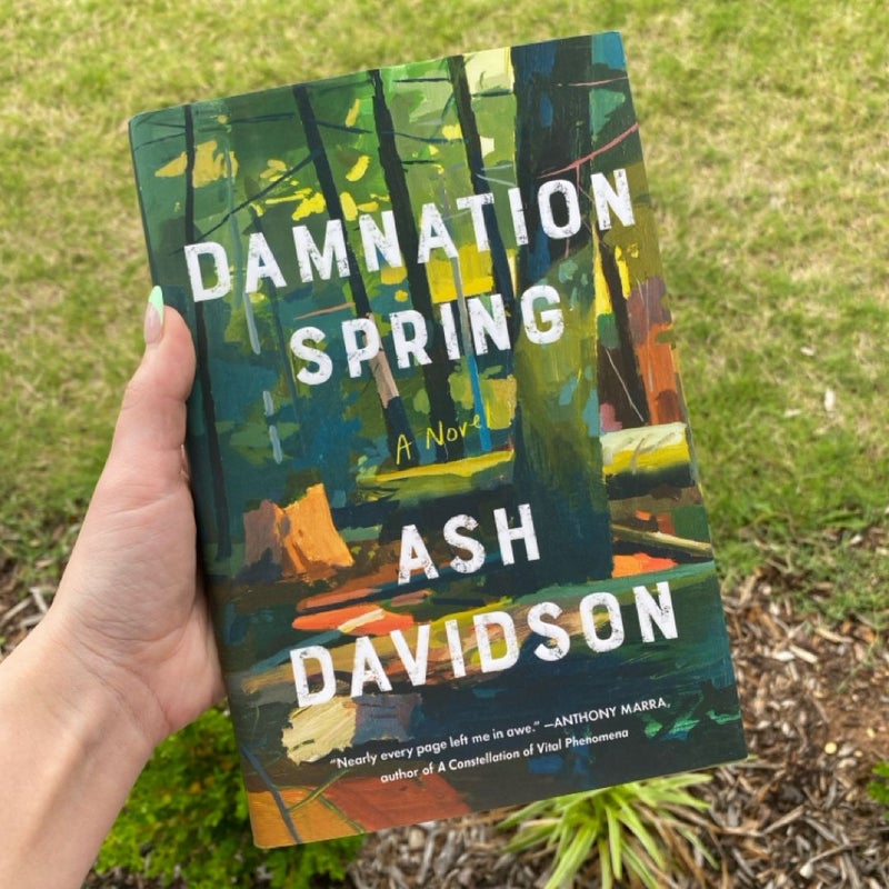 Damnation Spring