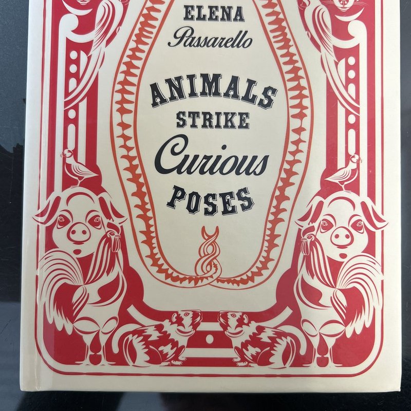 Animals Strike Curious Poses By Elena Passarello Hardcover Pango Books