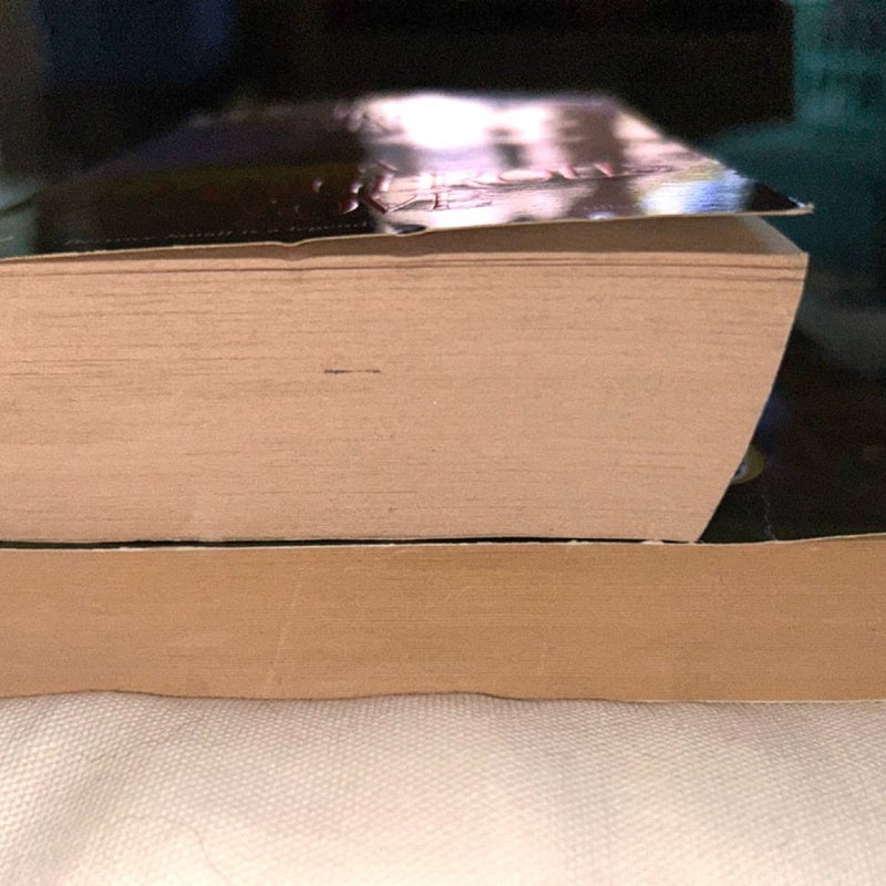 Bertrice Small Historical Romance Paperback Novels 