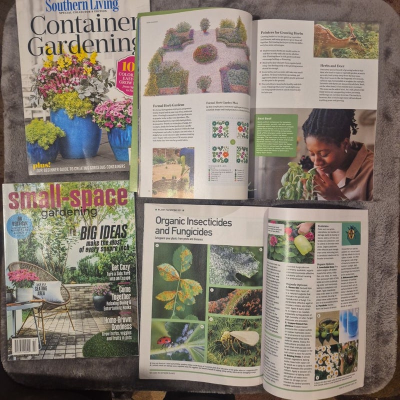 Small-Space Gardening, Container Gardening, Your Comprehensive Guide to Outdoor Plants, Spring Gardening