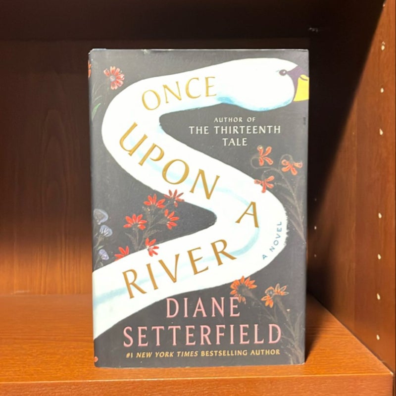 Once upon a River