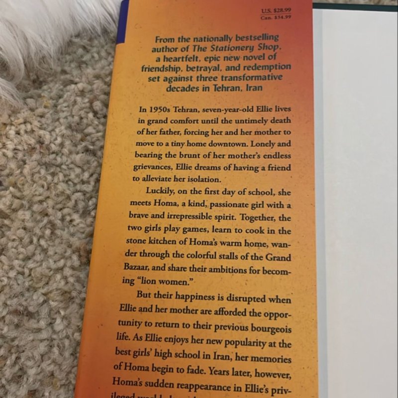 The Lion Women of Tehran