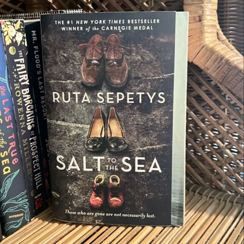 Salt to the Sea