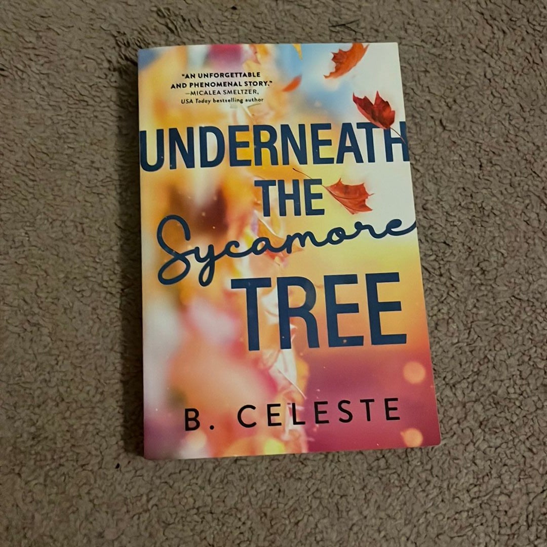 Underneath the Sycamore Tree