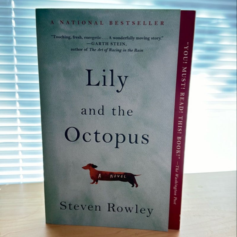 Lily and the Octopus