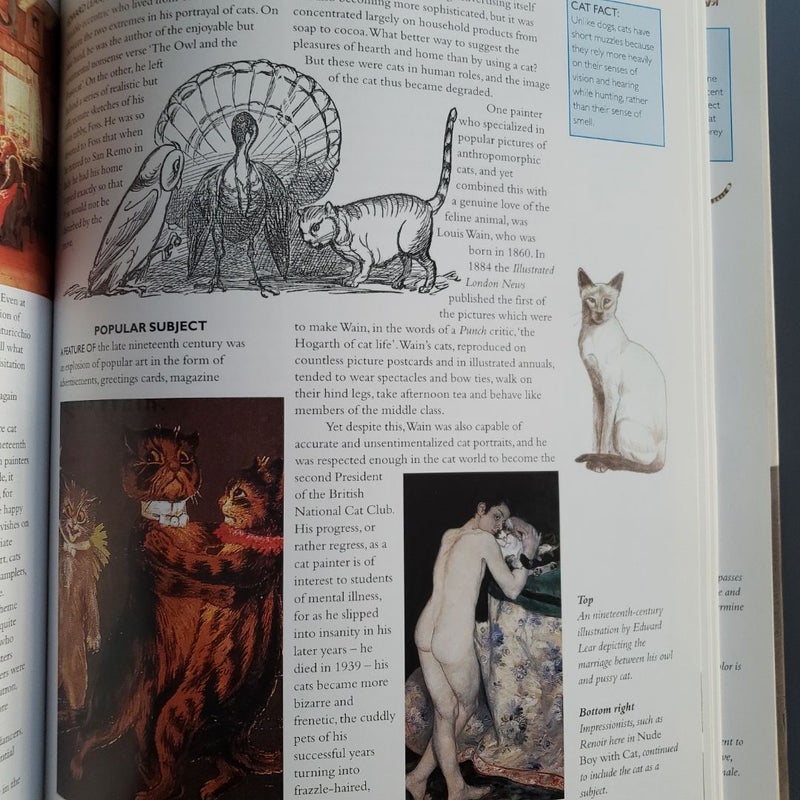 猫の本 ENCYLOPEDIA OF THE CAT The Cat Encyclopedia for Kids (Capstone Young Readers