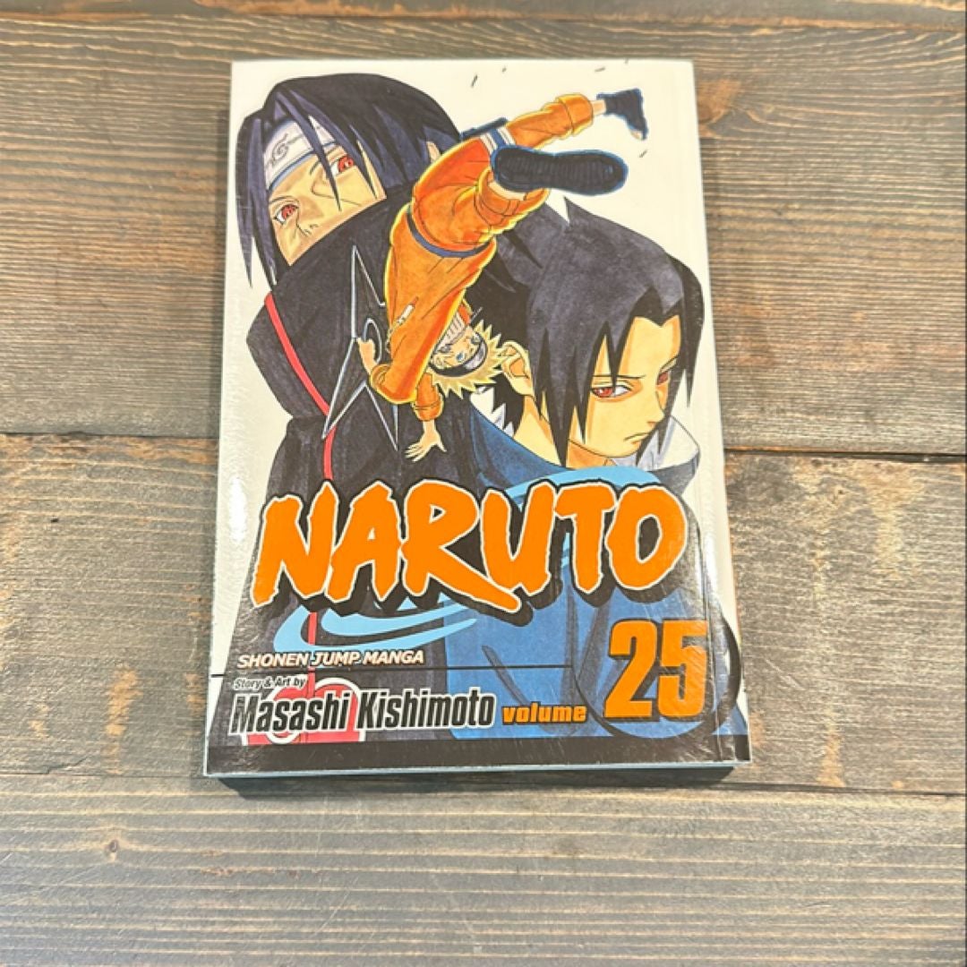 Naruto, Vol. 25