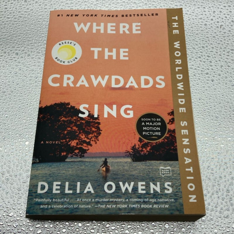 Where the Crawdads Sing