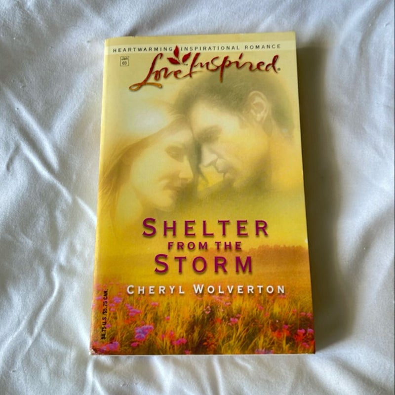 Shelter from the Storm