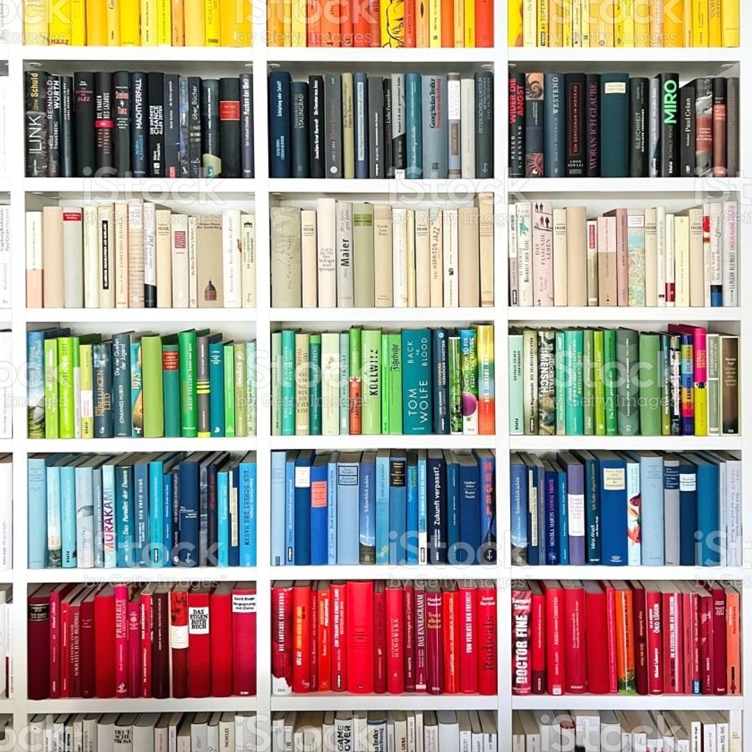 The Overflowing Bookshelf