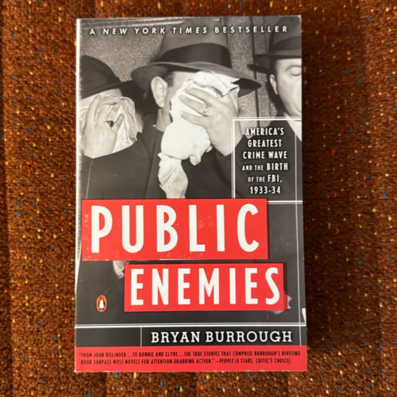 Public Enemies