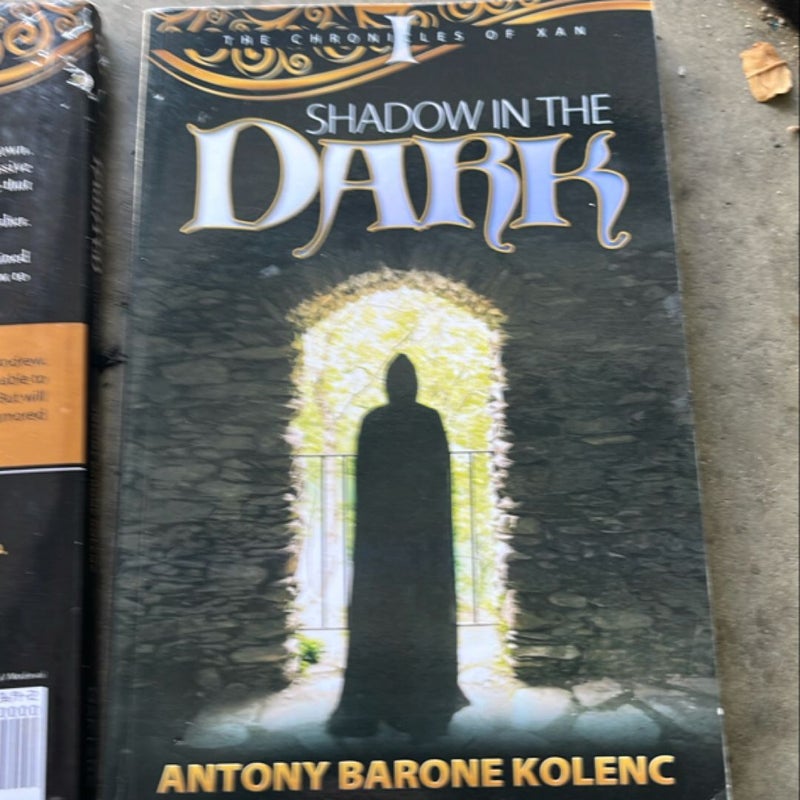 Shadow in the Dark
