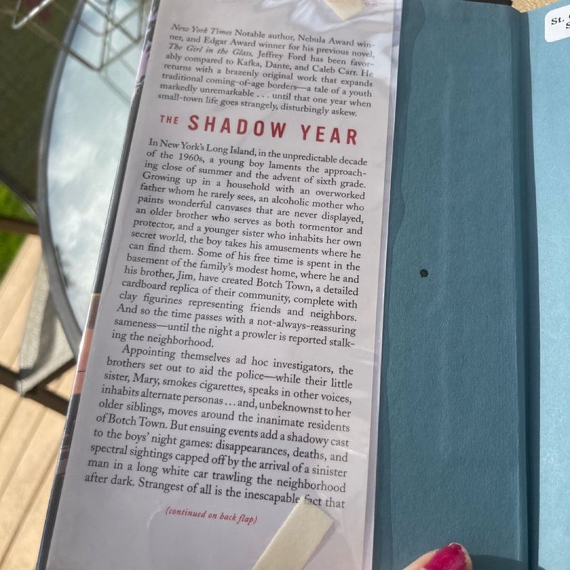 The Shadow Year