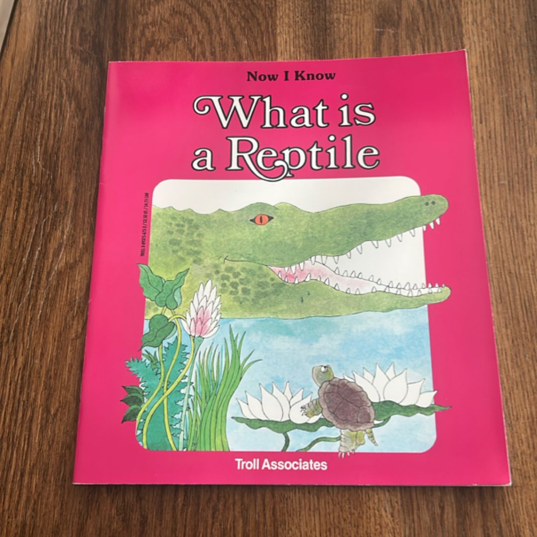 What Is a Reptile?