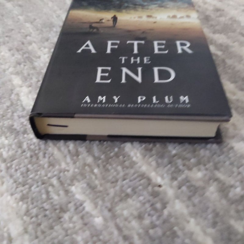 After the End