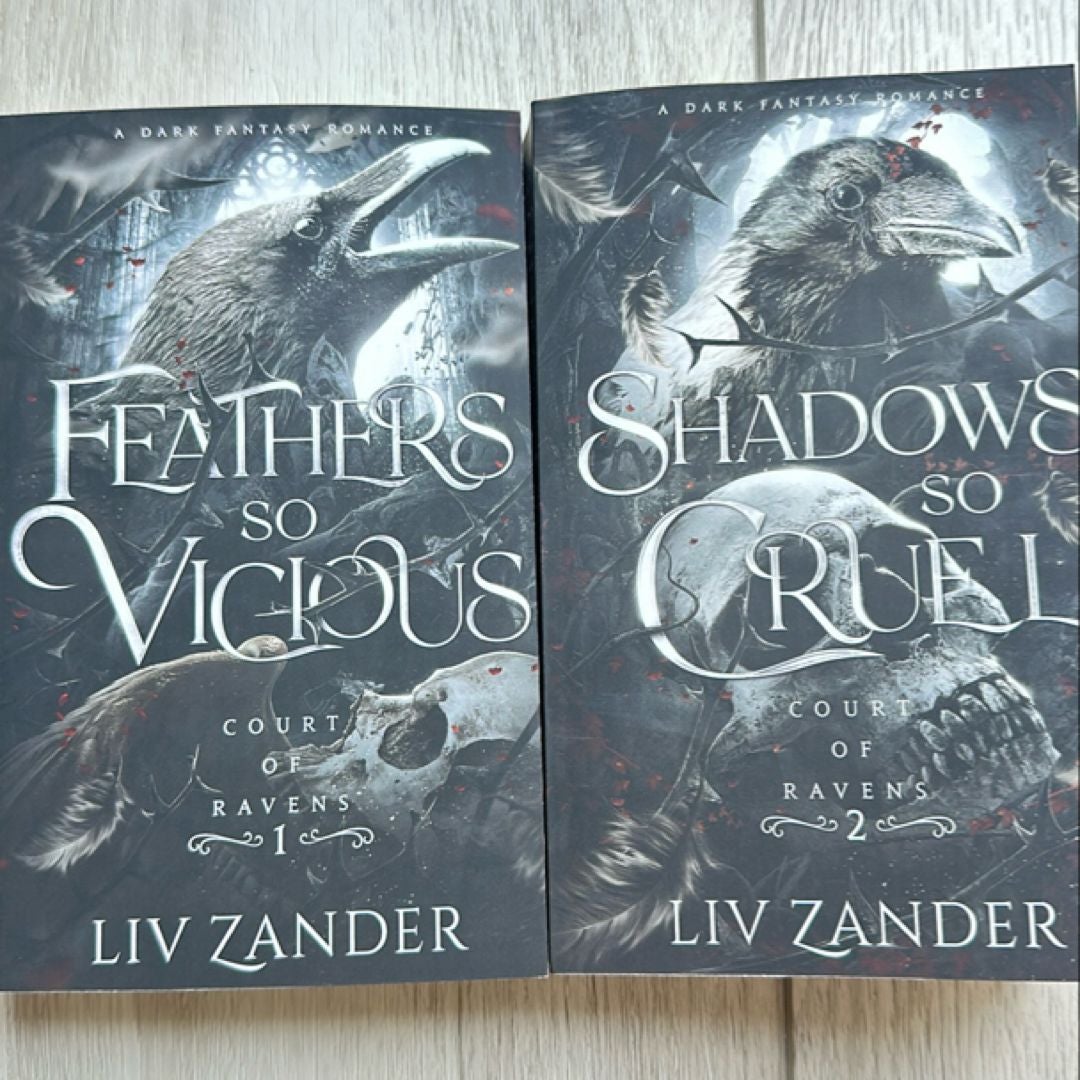 Feathers So Vicious: a Dark Fantasy Romance