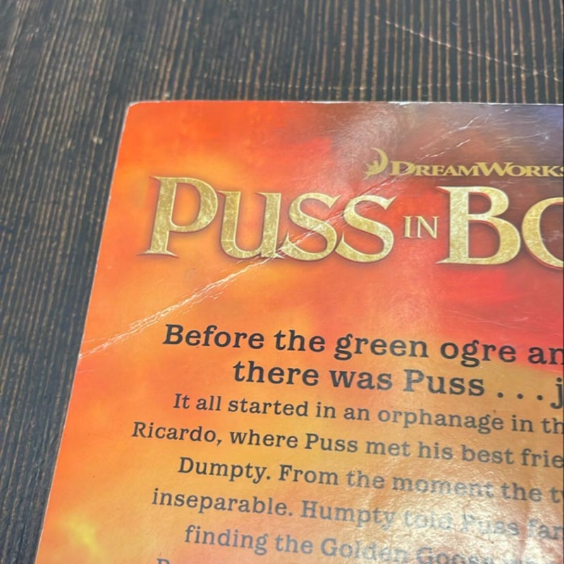 Puss in Boots Movie Novelization