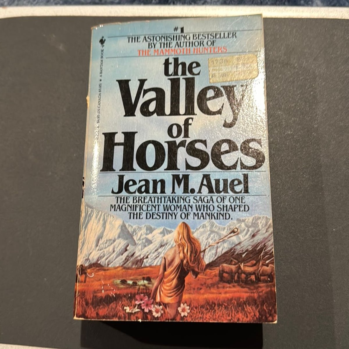 The Valley of Horses by Jean M. Auel