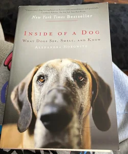 Inside of a Dog
