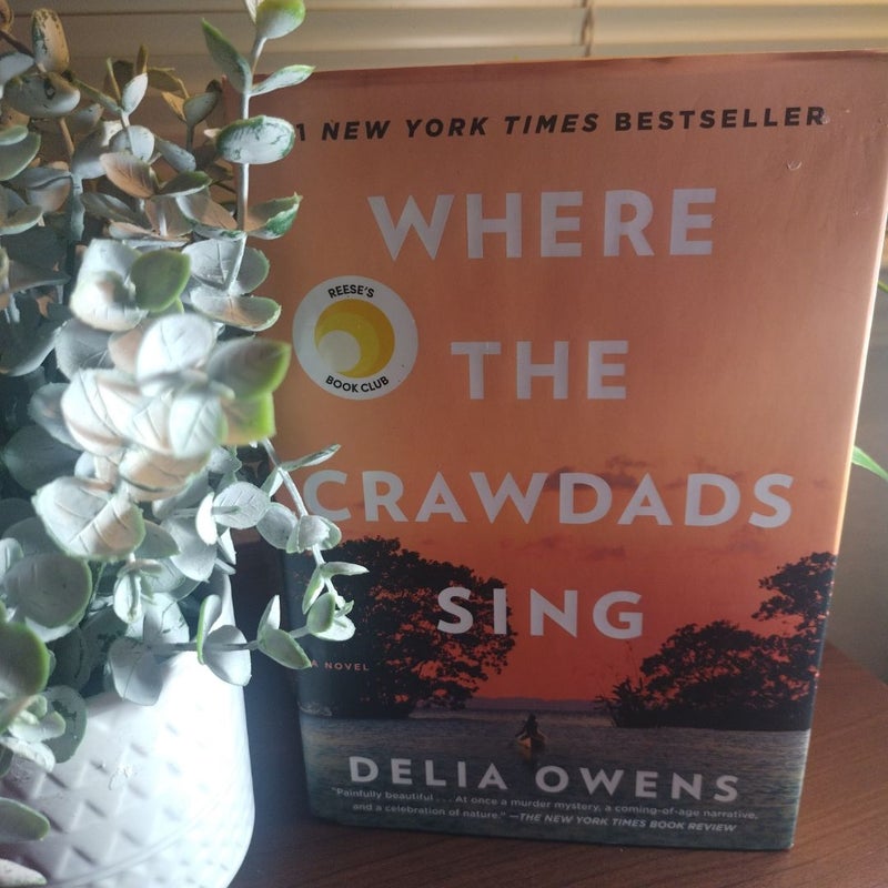 Where the Crawdads Sing