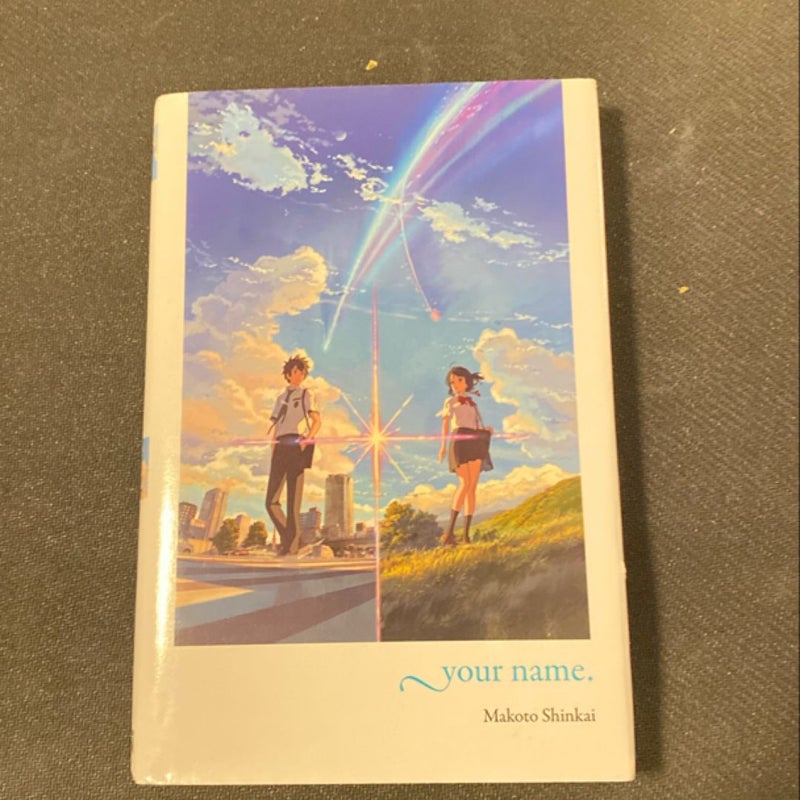 Your Name. (light Novel)