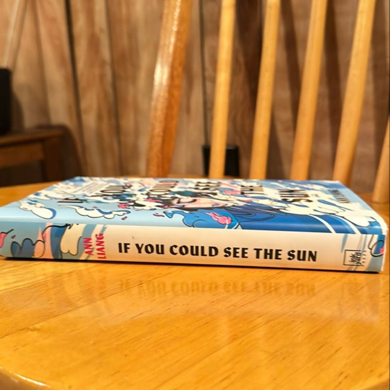 If You Could See the Sun