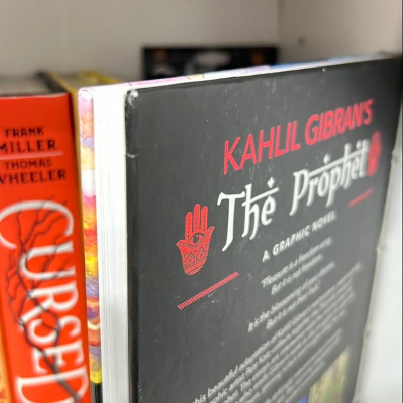 The Prophet: a Graphic Novel