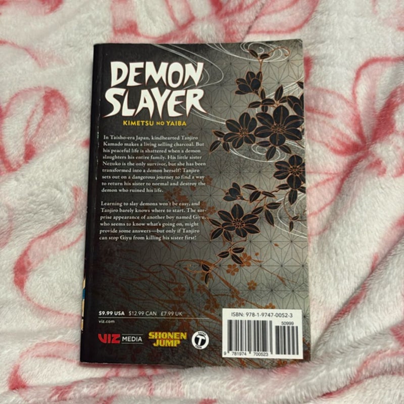 Demon Slayer: Kimetsu No Yaiba, Vol. 1