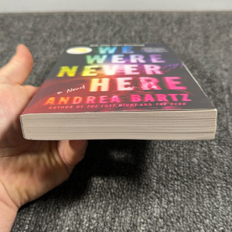 We Were Never Here