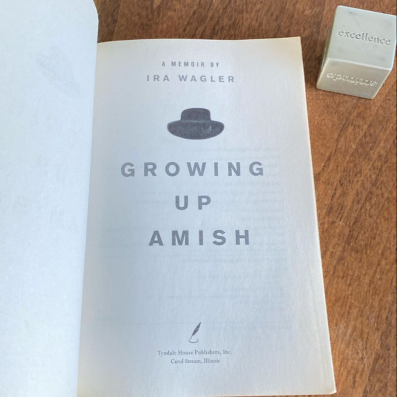 Growing up Amish