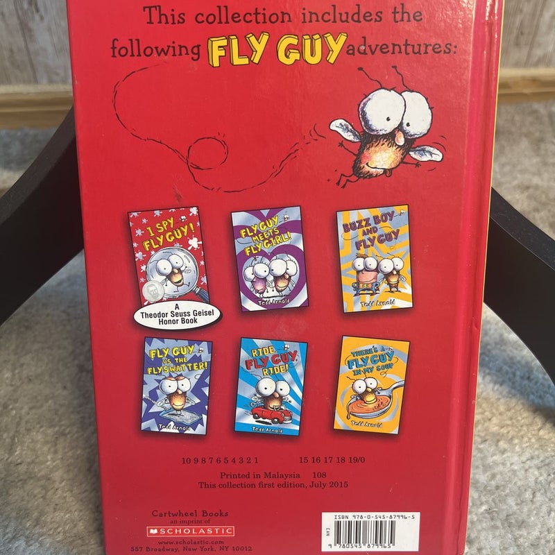 Fly guy