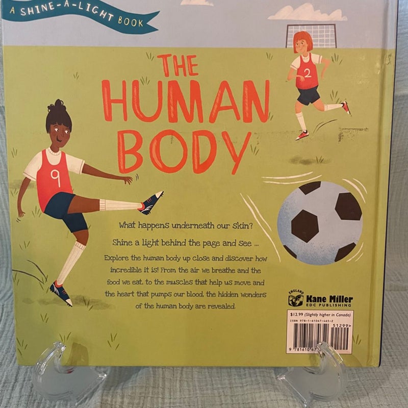 Human Body Shine-A-Light