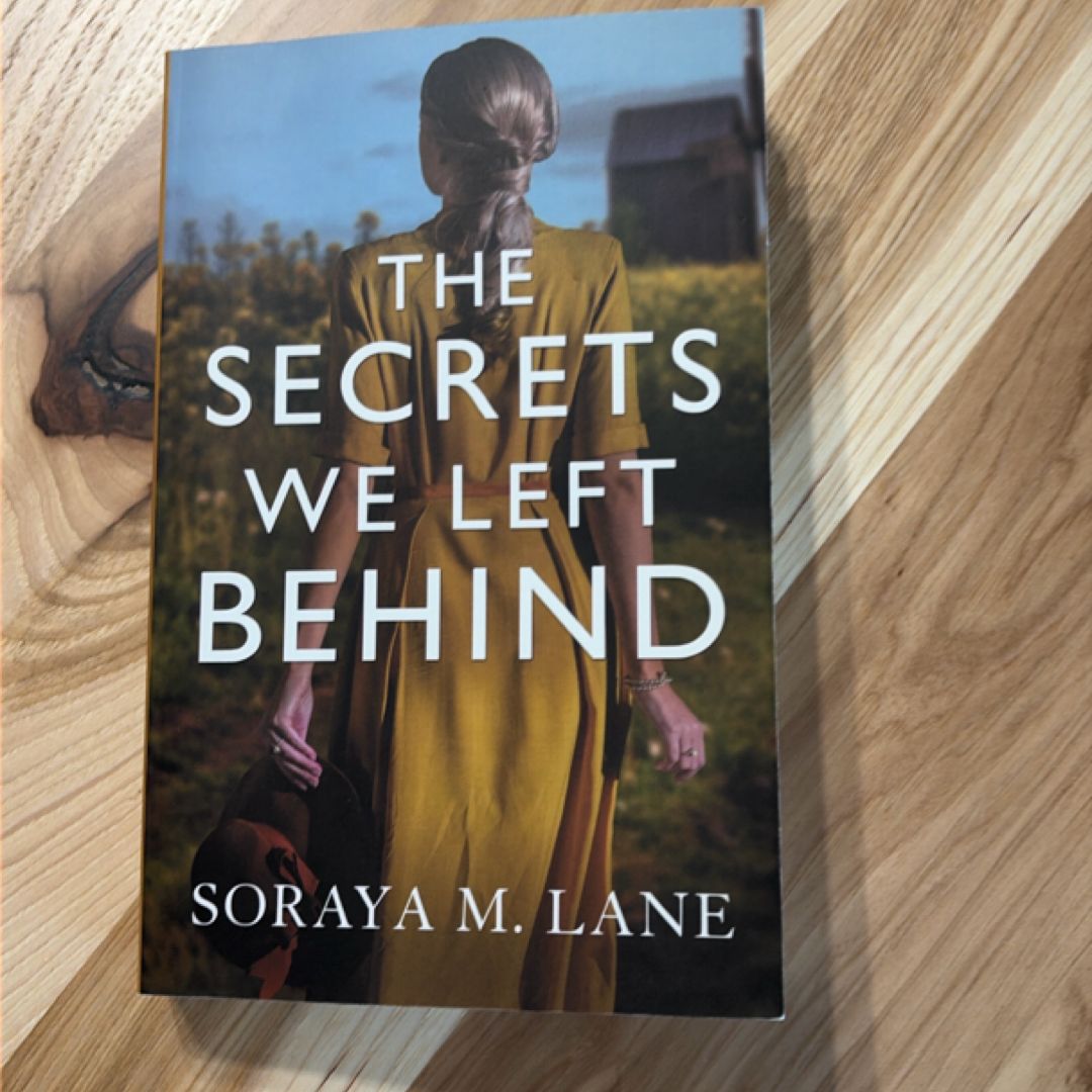 The Secrets We Left Behind