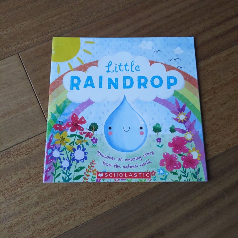 Little Raindrop