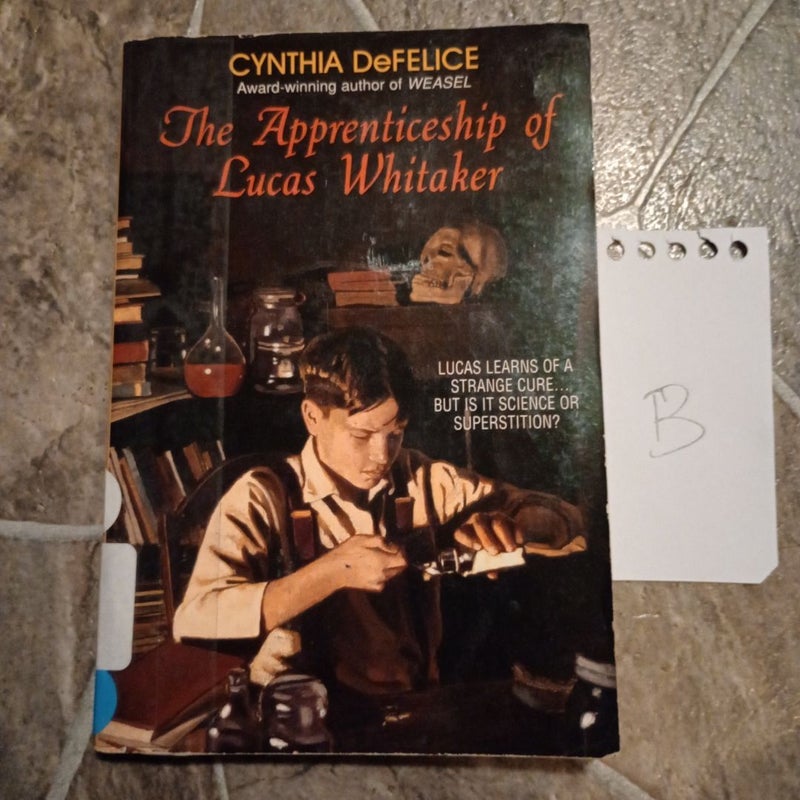 The Apprenticeship of Lucas Whitaker