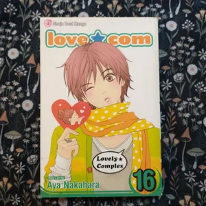 Love Com, Vol. 16